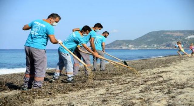 Belediye ekipleri Alanya sahillerini temizliyor