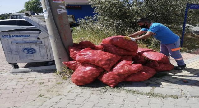 Alanya’da tarım ürünleri üreticiler tarafından çöpe atıldı