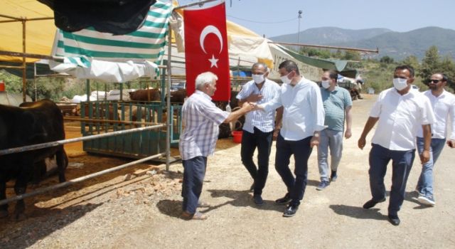 Başkan Türkdoğan Meclis üyeleri ile birlikte kurban satışı yapan esnafları ziyaret etti