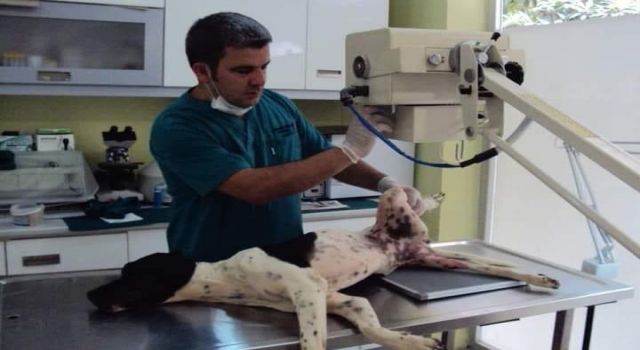 Alanya’nın sevilen veterineri Mustafa Arslan koronadan yoğun bakıma alındı