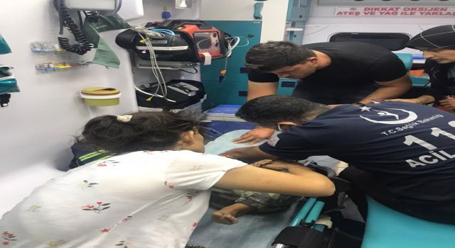 Yaylalarda göreve başlayan ambulanslar hayat kurtarıyor