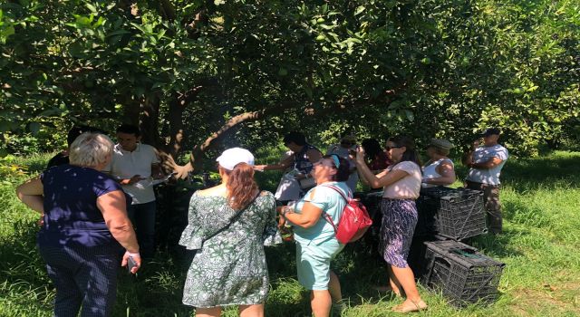 Litvanya’lı kadınların Alanya temasları devam ediyor