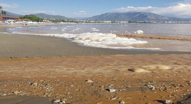 Sondaj’dan gelen su denize akınca Alçed başkanı isyan etti