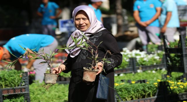 ALANYA BELEDİYESİ BAYRAMDA ÜCRETSİZ 60 BİN ÇİÇEK DAĞITACAK