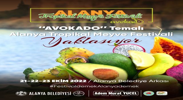 AVOKADO TEMALI TROPİKAL MEYVE FESTİVALİ YAKLAŞIYOR