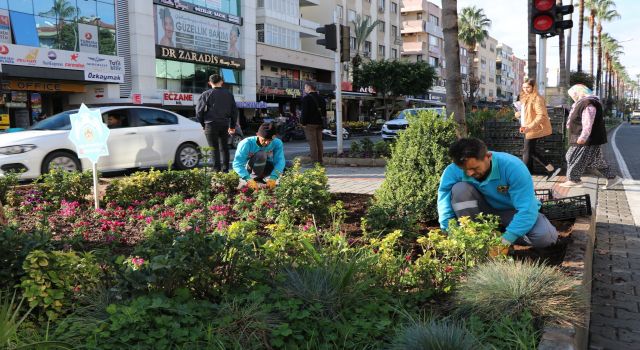 TÜM ŞEHİR KIŞLIK MEVSİMLİK ÇİÇEKLERLE DONATILIYOR