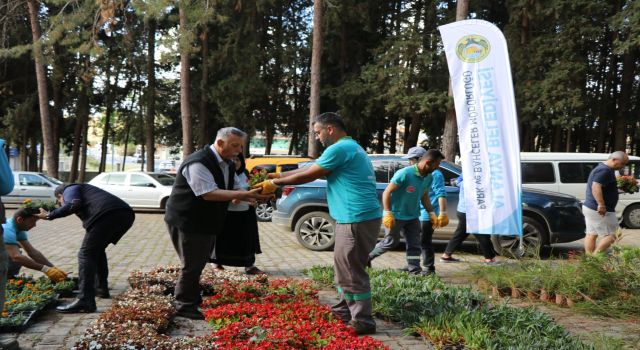 ALANYA BELEDİYESİ KURBAN BAYRAMI’NDA ÜCRETSİZ 60 BİN ÇİÇEK DAĞITACAK