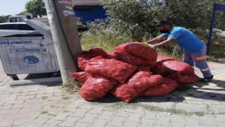 Alanya’da tarım ürünleri üreticiler tarafından çöpe atıldı