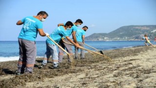 Belediye ekipleri Alanya sahillerini temizliyor