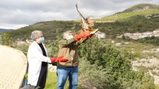 YARALI ŞAHİN TEDAVİSİNİN ARDINDAN DOĞAYA SALINDI