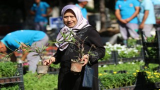 ALANYA BELEDİYESİ BAYRAMDA ÜCRETSİZ 60 BİN ÇİÇEK DAĞITACAK