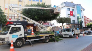 ALANYA BELEDİYESİ KIŞLIK BAKIM ÇALIŞMALARINA DEVAM EDİYOR