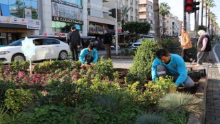 TÜM ŞEHİR KIŞLIK MEVSİMLİK ÇİÇEKLERLE DONATILIYOR