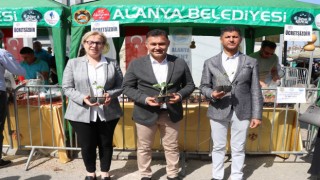 ALANYA BELEDİYESİ SU VE LİF KABAĞI FİDESİ DAĞITMAYA DEVAM EDİYOR