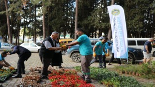 ALANYA BELEDİYESİ KURBAN BAYRAMI’NDA ÜCRETSİZ 60 BİN ÇİÇEK DAĞITACAK